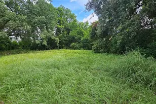 Pine Island Dr, Leesburg, FL 34788 - Photo 1