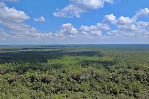 2575 Place Pond Rd, De Leon Springs, FL 32130 - Photo 64