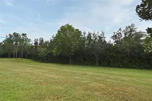 1524 Downy Birch Ln, Longwood, FL 32750 - Photo 32