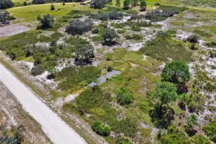 2253 W Shula Rd, Avon Park, FL 33825 - Photo 10