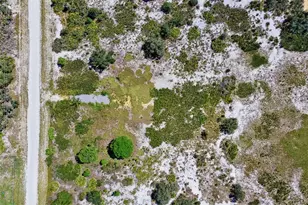 2253 W Shula Rd, Avon Park, FL 33825 - Photo 16