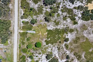 2253 W Shula Rd, Avon Park, FL 33825 - Photo 8