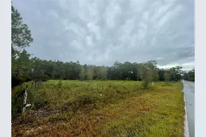 680 School Street, Bronson, FL 32621 - Photo 1