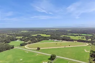 551 NE 200th Ave, Williston, FL 32696 - Photo 30