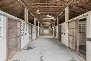 551 NE 200th Ave, Williston, FL 32696 - Photo 20