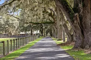 551 NE 200th Ave, Williston, FL 32696 - Photo 4