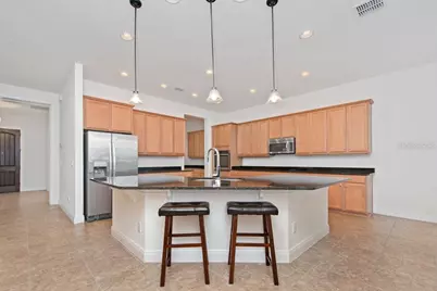 17538 Black Rail Street, Windermere, FL 34786 - Photo 8