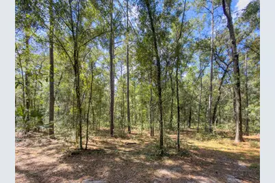 9309 Happy Trl, Brooksville, FL 34601 - Photo 52