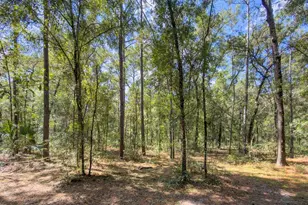 9309 Happy Trail, Brooksville, FL 34601 - Photo 52