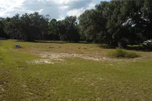 17281 SE 130th, Weirsdale, FL 32195 - Photo 6