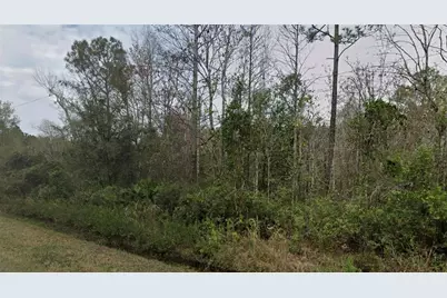 4260 Benedict Street, Hastings, FL 32145 - Photo 1