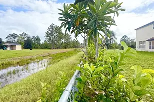 18744 Sabal St, Orlando, FL 32833 - Photo 60