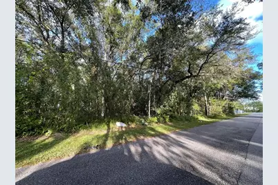 6117 Cornelia Avenue, Orlando, FL 32807 - Photo 4