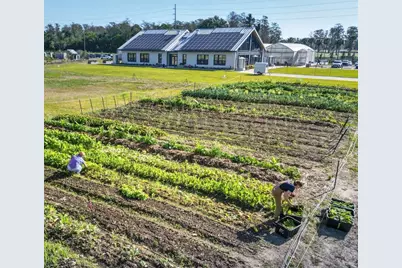 2174 Whitney Marsh Alley, Orlando, FL 32804 - Photo 26