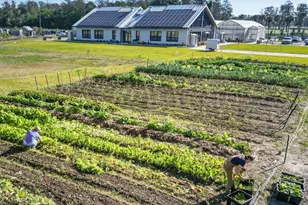 2174 Whitney Marsh Aly, Orlando, FL 32804 - Photo 26