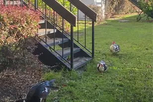 4400 Castlepalm Rd, Orlando, FL 32839 - Photo 2