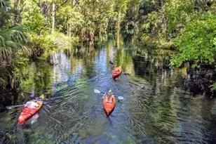 17219 NW 173rd Dr, Alachua, FL 32615 - Photo 22