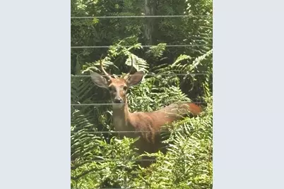 10662 Crystal Springs Court, Orlando, FL 32825 - Photo 56