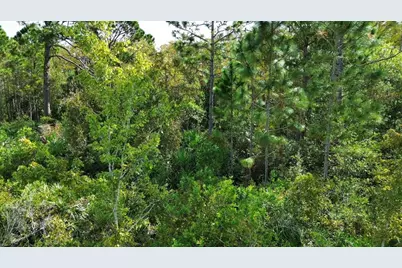 Bassett Avenue, Orlando, FL 32833 - Photo 8