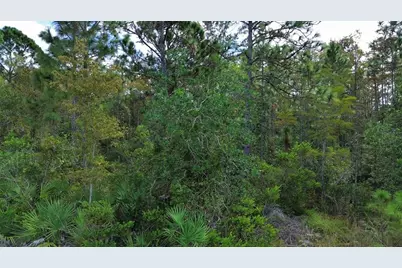 Bassett Avenue, Orlando, FL 32833 - Photo 10