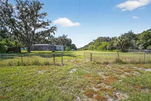 12706 McIntosh Rd, Thonotosassa, FL 33592 - Photo 30