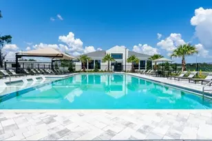 18772 Grand Live Oak Blvd, Land O Lakes, FL 34638 - Photo 4