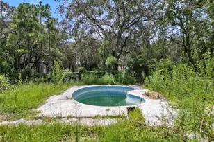 13306 Vivian Ln, Hudson, FL 34669 - Photo 14