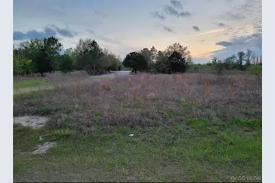 702 E. Sequoia Pl. Flat, Citrus Springs, FL 34434 - Photo 1