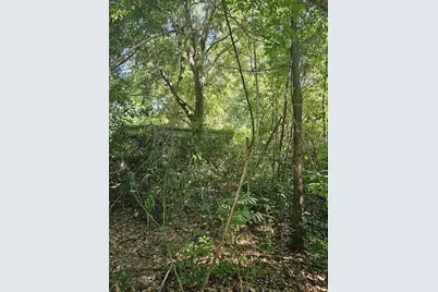 Private Drive, Tavares, FL 32778 - Photo 4