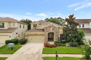 4392 Vermillion Sky Dr, Wesley Chapel, FL 33544 - Photo 2