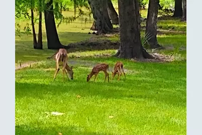 372 Wekiva Park Drive, Sanford, FL 32771 - Photo 6