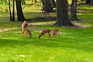 372 Wekiva Park Dr, Sanford, FL 32771 - Photo 6