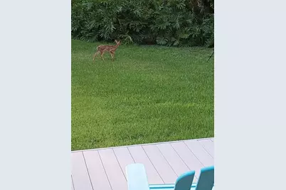 372 Wekiva Park Drive, Sanford, FL 32771 - Photo 38