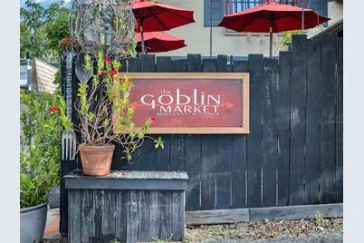 1011 Liberty Avenue, Mount Dora, FL 32757 - Photo 64