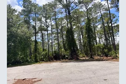 Chinaberry Way, Eustis, FL 32736 - Photo 4