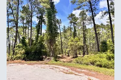 Chinaberry Way, Eustis, FL 32736 - Photo 2