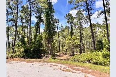 Chinaberry Way, Eustis, FL 32736 - Photo 2
