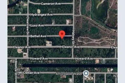 14233 Bethel Avenue, Port Charlotte, FL 33953 - Photo 4