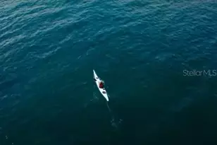 12 Maidenbush Cir, Homosassa, FL 34446 - Photo 22