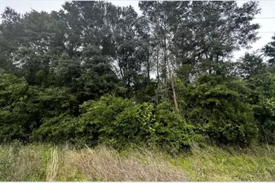 Se Gunpowder Avenue, Madison, FL 32340 - Photo 10