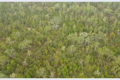 Se Gunpowder Avenue, Madison, FL 32340 - Photo 8