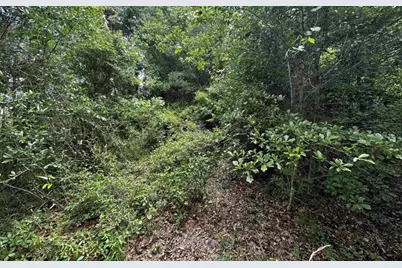 Se Gunpowder Avenue, Madison, FL 32340 - Photo 6