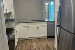 2115 Waterfall Ct, Mount Dora, FL 32757 - Photo 8