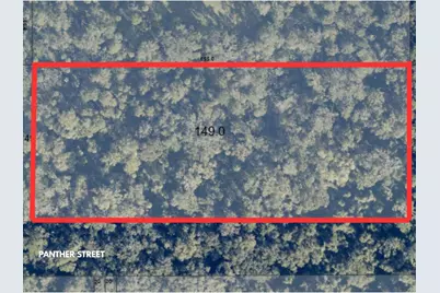 Panther Street, Oviedo, FL 32765 - Photo 1