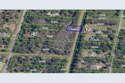 0 Quarterly Parkway, Orlando, FL 32833 - Photo 2