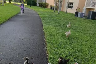 15300 SW 106th Terrace, Miami, FL 33196 - Photo 58