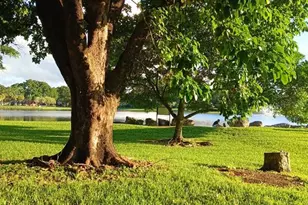 15300 SW 106th Terrace, Miami, FL 33196 - Photo 64