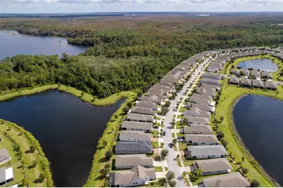 3388 Sagebrush Street, Harmony, FL 34773 - Photo 10