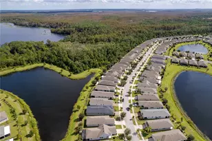 3388 Sagebrush St, Harmony, FL 34773 - Photo 10