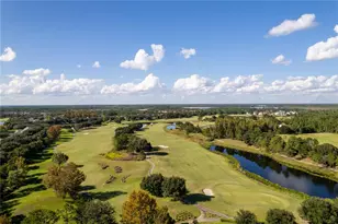 3388 Sagebrush St, Harmony, FL 34773 - Photo 46